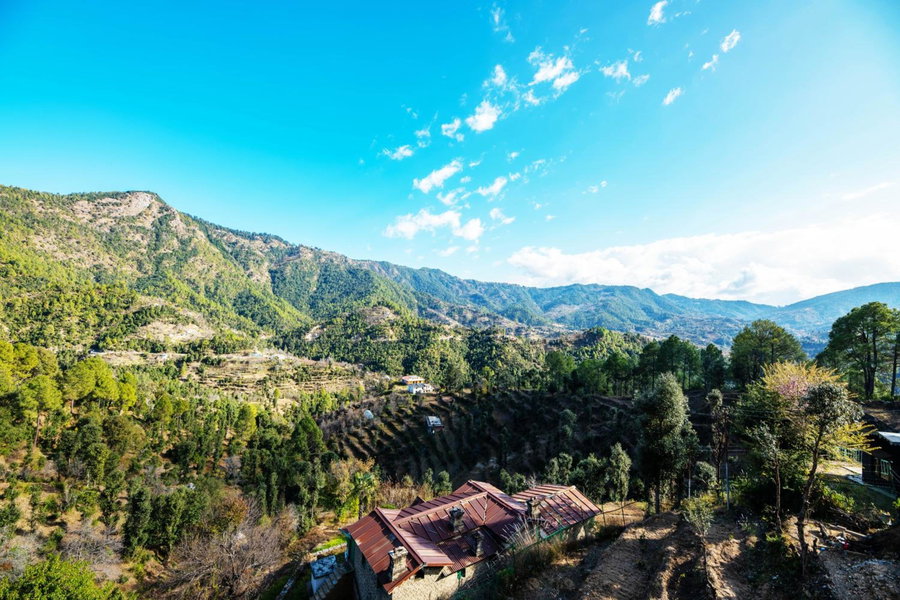Captains Paradise At Mukteshwar Hill Station, Mukteswar, India