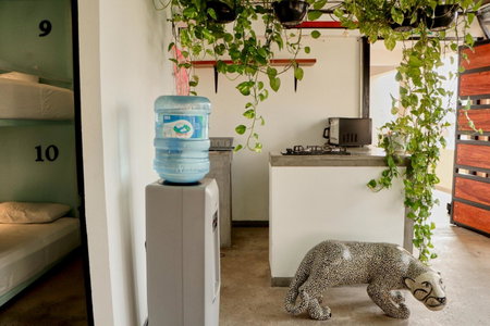 Casa Nomada Tuxtla Hotel - Hostal, Tuxtla Gutiérrez, Mexico