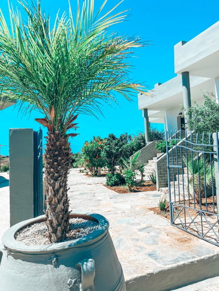 Elafonisi Rooms For Rent, Elafonisi, Greece