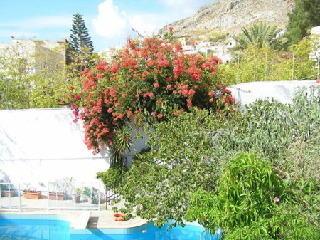 Villa Melina, Kalymnos, Greece