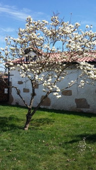 Casa da Quinta De S. Martinho, Vila Real, Portugal