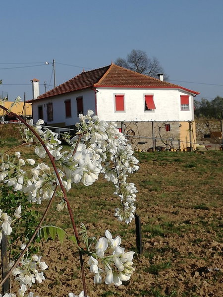 Casa da Vinha Grande, Poiares, Portugal