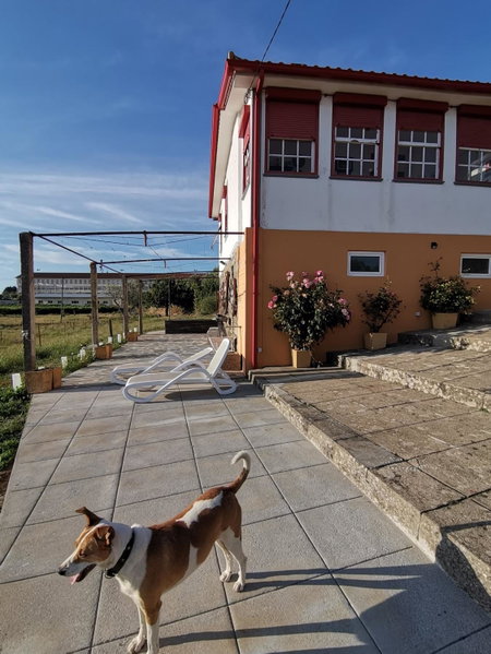 Casa da Vinha Grande, Poiares, Portugal
