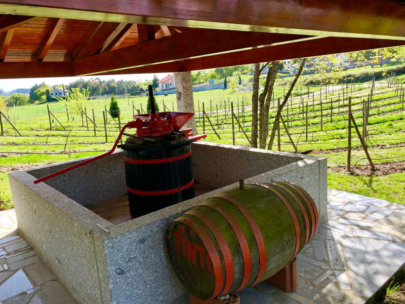 Casa da Quinta da Prelada Simão, Celorico de Basto, Portugal