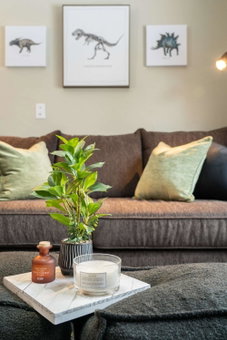 Triceratops Landing I Fire Place I Games I Netflix, Drumheller, Canada