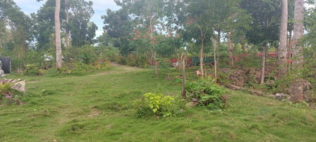 Andnindot garden resort, Anda, Philippines