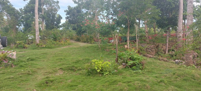Andnindot garden resort, Anda, Philippines