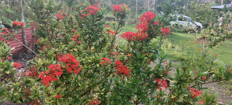 Andnindot garden resort, Anda, Philippines