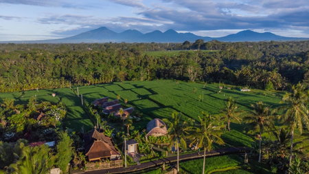 IPIAN Cinta by GenuineHost, Ubud, Indonesia
