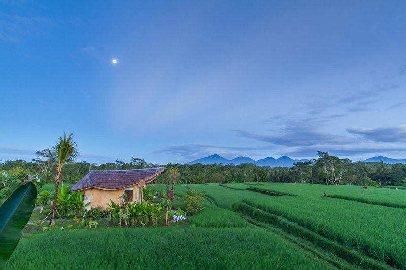 IPIAN Cinta by GenuineHost, Ubud, Indonesia