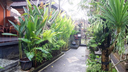 Leket house, Ubud, Indonesia