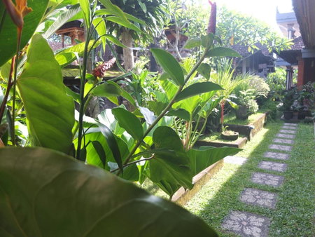 Leket house, Ubud, Indonesia