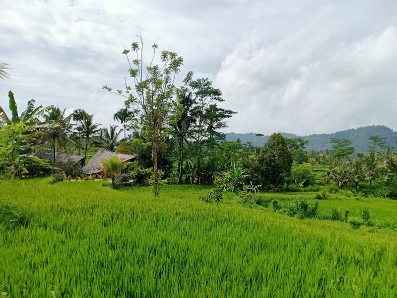 Jero Tumbuk Private Villa, Selat, Indonesia