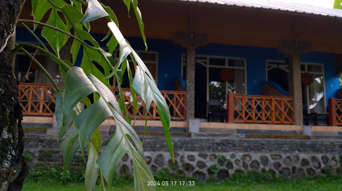 Blue Mountain Cottage, Indonesien