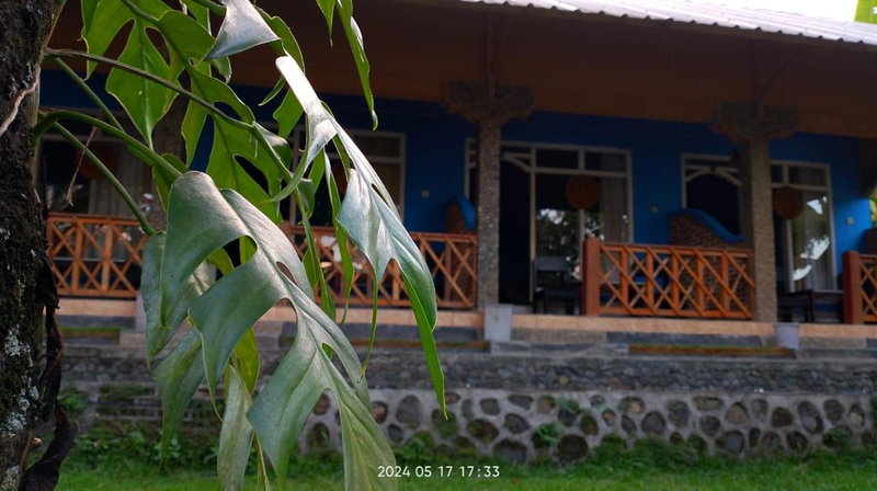 Blue Mountain Cottage, Senaru, Indonesia