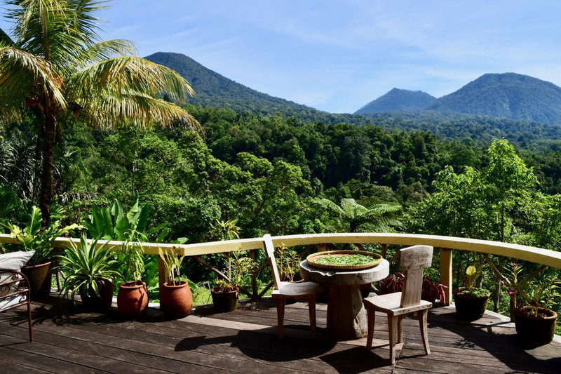 DWan Tea Mountain Side, Jatiluwih, Indonesia