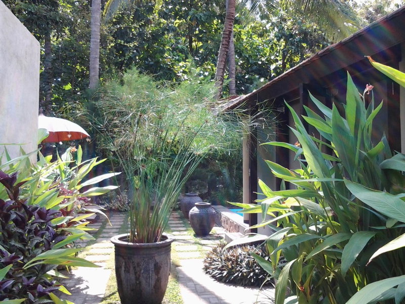Villa Jati - Private Poolside Villa Central Lovina, Lovina, Indonesia