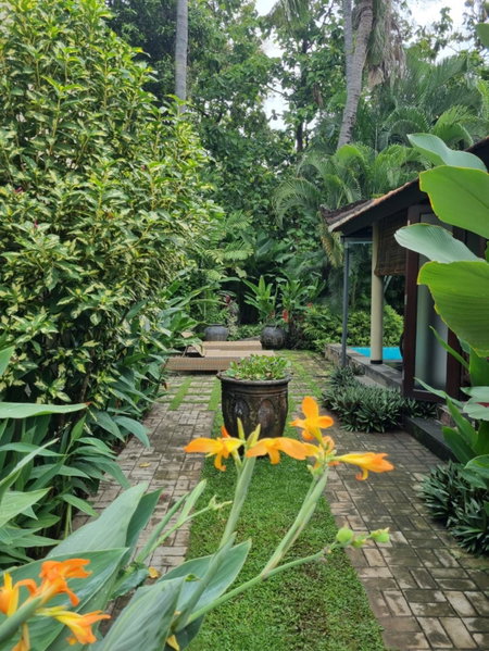 Villa Jati - Private Poolside Villa Central Lovina, Lovina, Indonesia