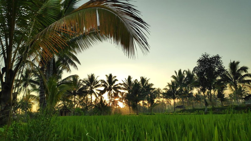 Second Home Bungalows, Tetebatu, Indonesia