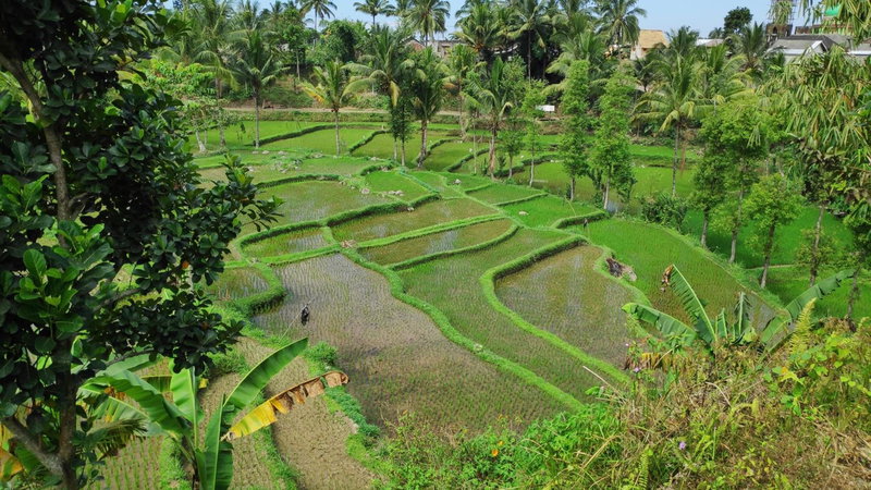 Second Home Bungalows, Tetebatu, Indonesia