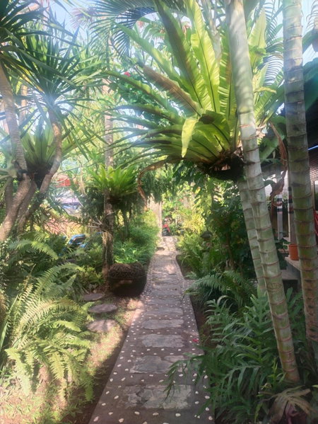 ComeBack GuestHouse, Canggu, Indonesia