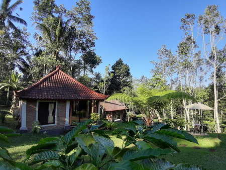 Tegal Jero Homestay, Jatiluwih, Indonesia