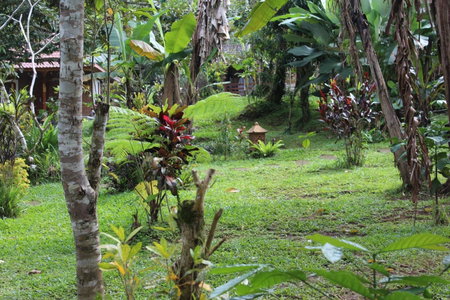 Tegal Jero Homestay, Jatiluwih, Indonesia