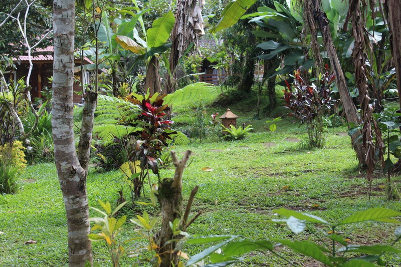 Tegal Jero Homestay, Jatiluwih, Indonesia