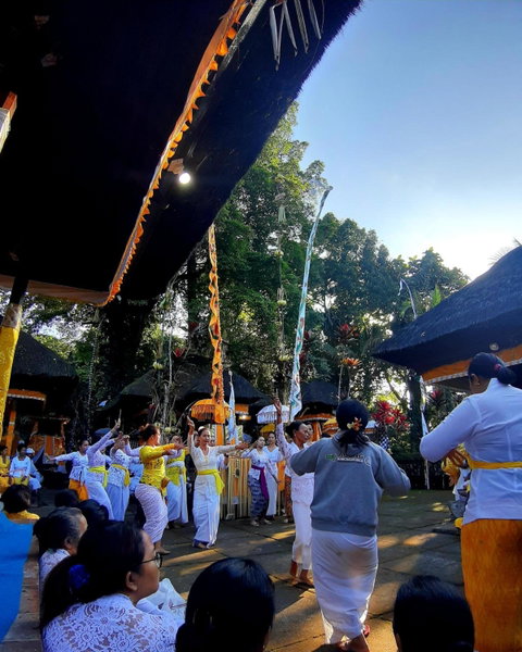 Tegal Jero Homestay, Jatiluwih, Indonesia
