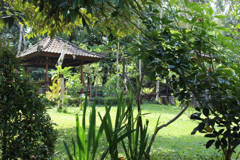 Tegal Jero Homestay, Jatiluwih, Indonesia