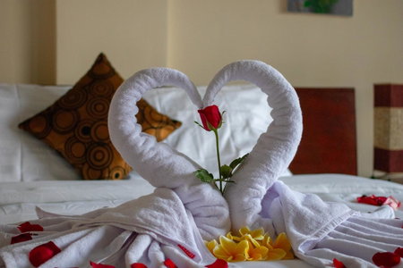 Anik Homestay, Canggu, Indonesia