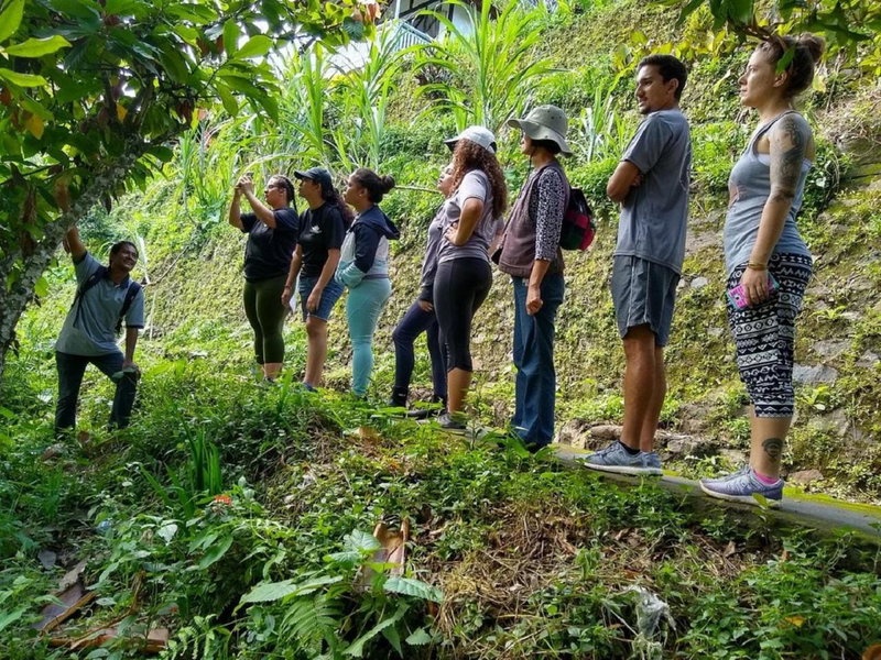 Meme Surung Guesthouse, Munduk, Indonesia