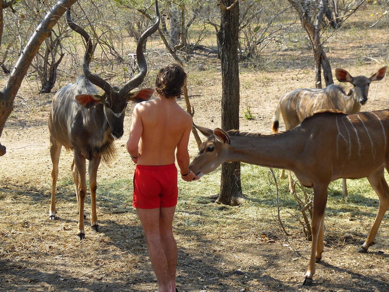 Coga Cottage - Marloth Park, Marloth Park, South Africa