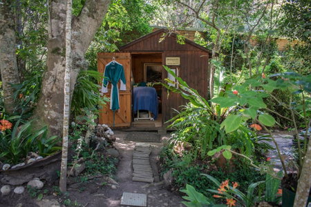Nature's Valley Health Retreat A Hide away in the Forest, Natureʼs Valley, South Africa