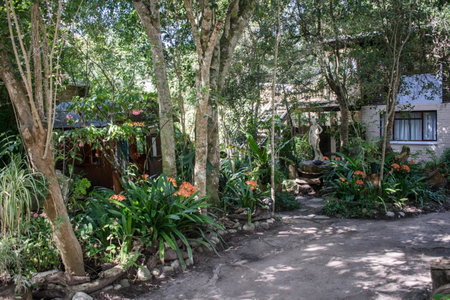 Nature's Valley Health Retreat A Hide away in the Forest, Natureʼs Valley, South Africa