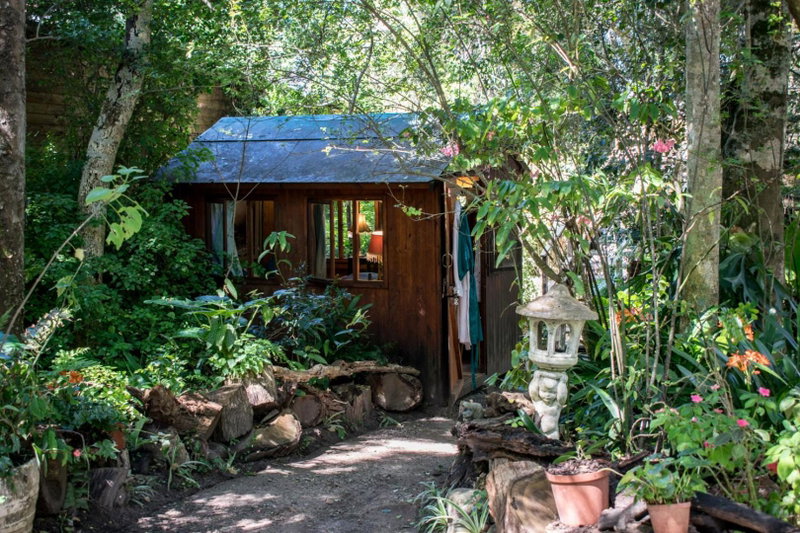 Nature's Valley Health Retreat A Hide away in the Forest, Natureʼs Valley, South Africa