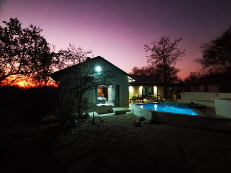 Ostrich Hide, Marloth Park, South Africa
