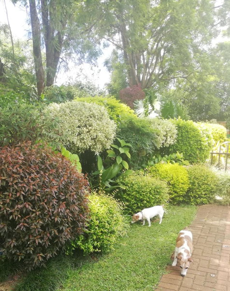 A-Cody Place, Louis Trichardt, South Africa
