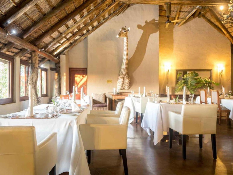 Bushwa Private Game Lodge, Vaalwater, South Africa