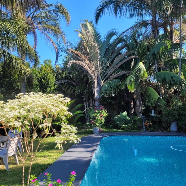 Kennington Palms B&B/Self Catering, East London, South Africa