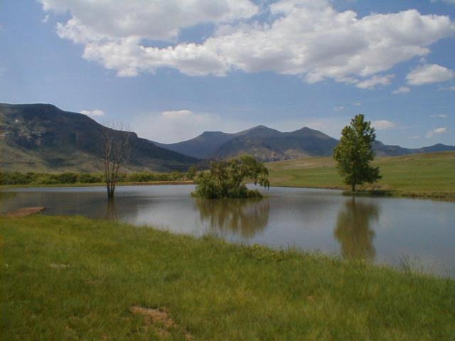 Royal Coachman, Clarens, South Africa