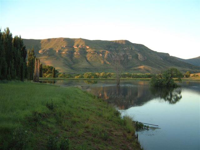 Royal Coachman, Clarens, South Africa