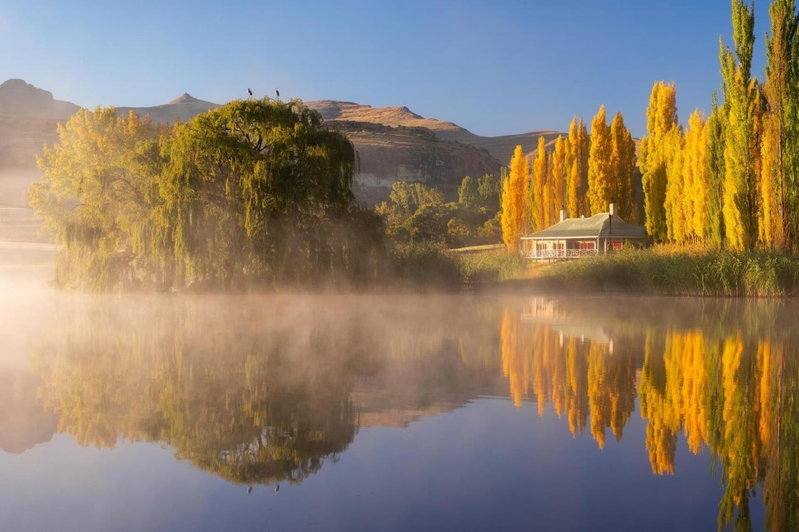 Royal Coachman, Clarens, South Africa