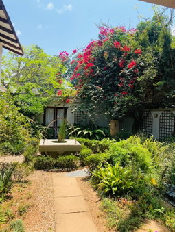 Wild Fig Guesthouse, White River, South Africa