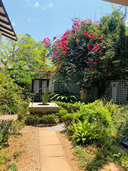 Wild Fig Guesthouse, White River, South Africa