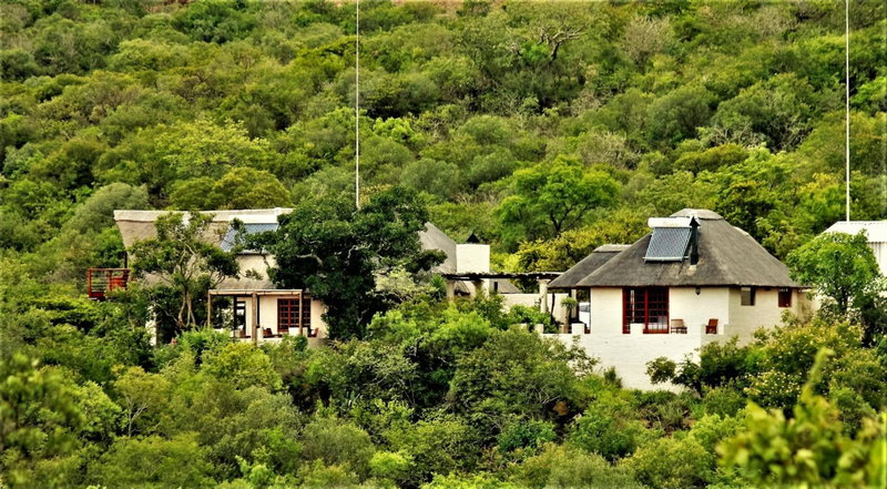 Graceland Eco Retreat, Magoebaskloof, South Africa