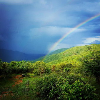 Graceland Eco Retreat, Magoebaskloof, South Africa