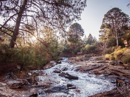 Zwakala River Retreat, Haenertsburg, South Africa