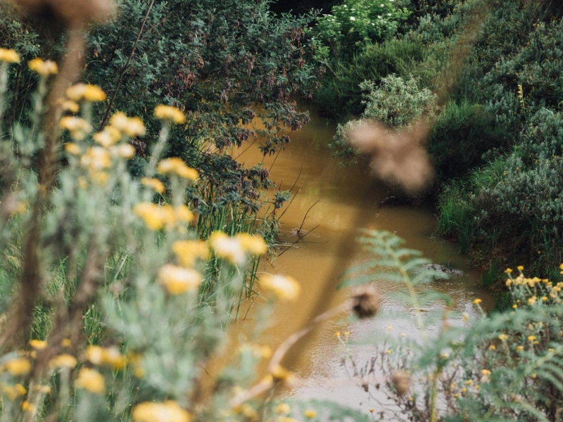 Zwakala River Retreat, Haenertsburg, South Africa