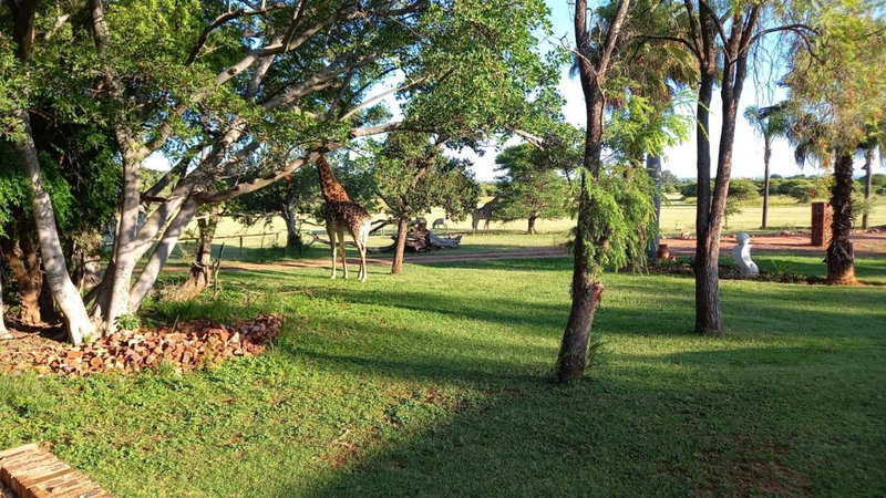 Ebenhaeser overnight accomodation, Bela-Bela, South Africa